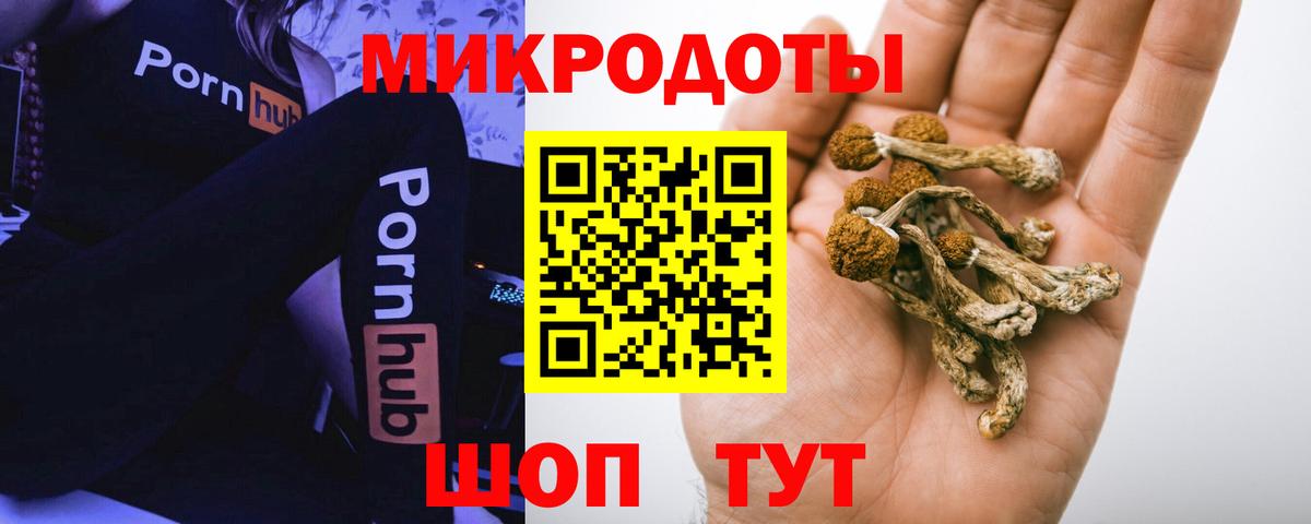 купить закладку  Вход с VPN  Ялта  Галлюциногенные грибы Magic Shrooms 